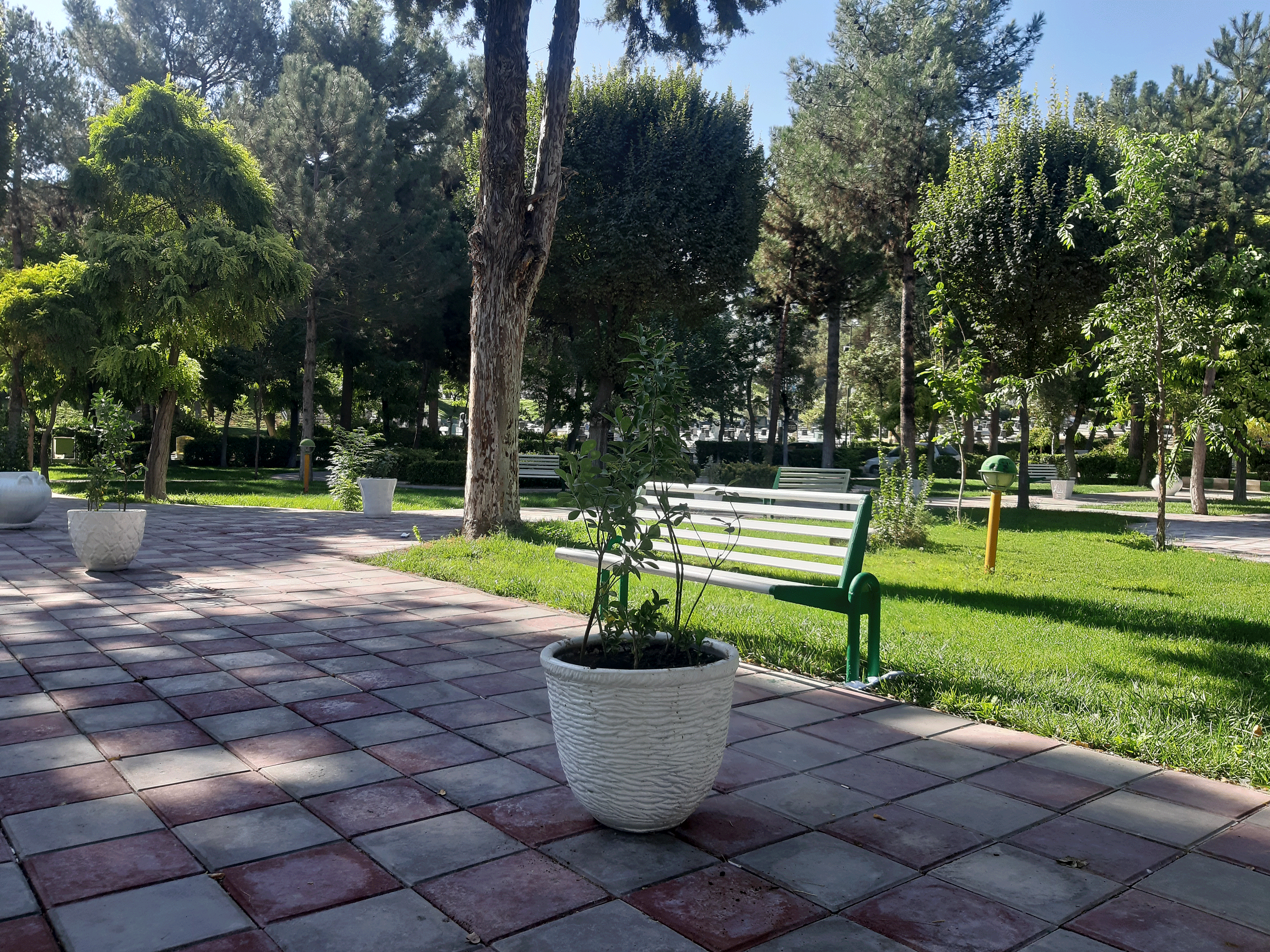 فضای سبز سازمان